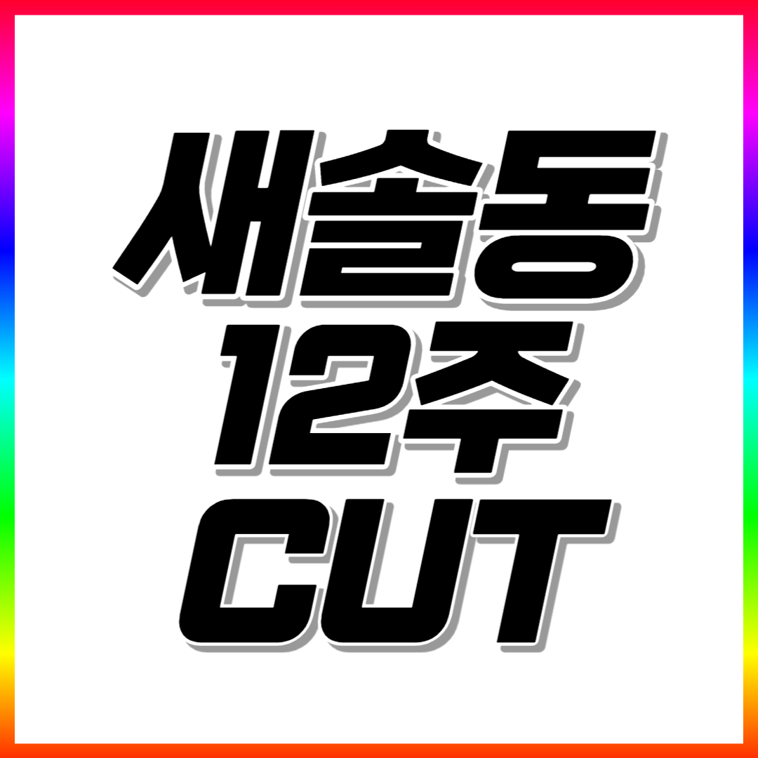  새솔동 고등 영어과외 중학생 수학과외 일대일 전과목 맞춤수업 여름방학 기말대비 모의고사대비