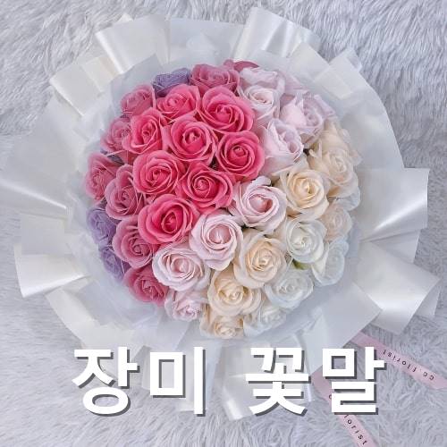 흰장미 꽃말