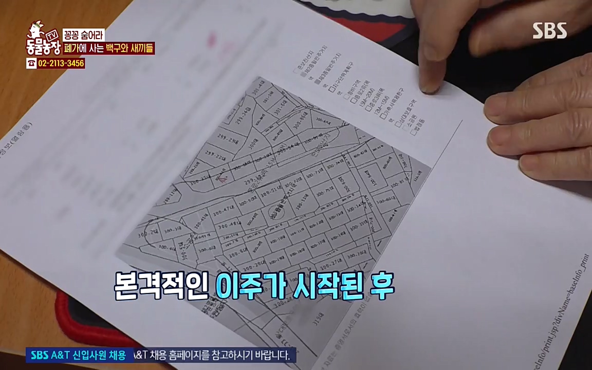 TV 동물농장.E1065.220418p-NEXT.mp4_20220417_181309.838.jpg