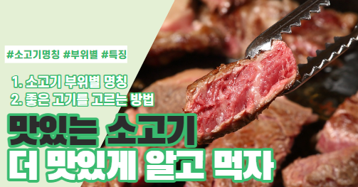  소고기 부위별 명칭과 좋은 고기 고르는 방법
