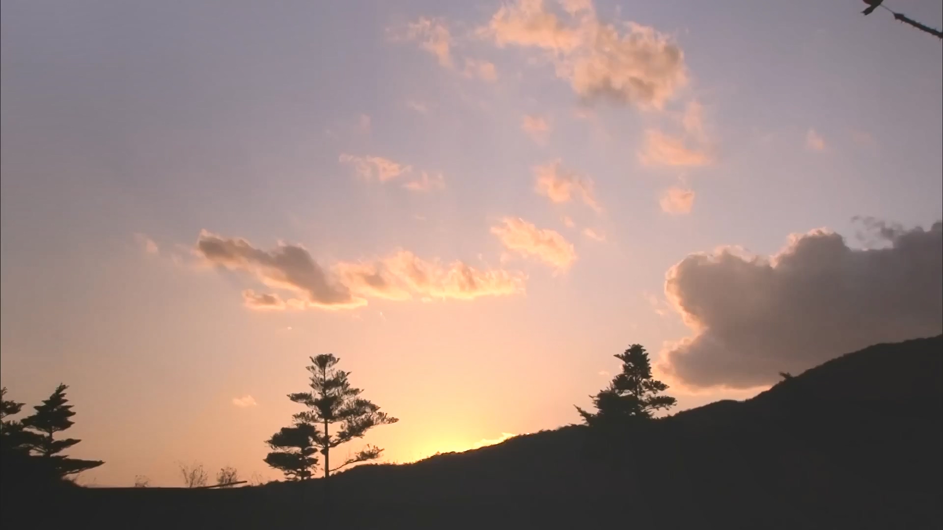 [인간극장 다시보기] 다시 태어나도 서로밖에 없다 하시는 백발의 황혼 부부, 따뜻하고 싱그러운 신혼일기 제2막이 시작된다 KBS 방송.mp4_20240415_133452.406.jpg