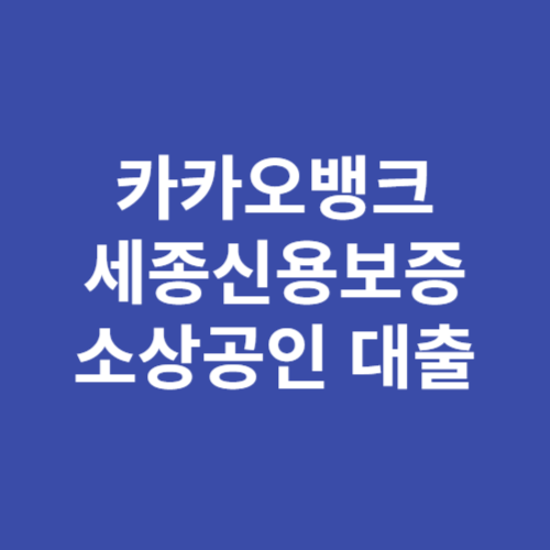 카카오뱅크 세종신용보증재단 소상공인