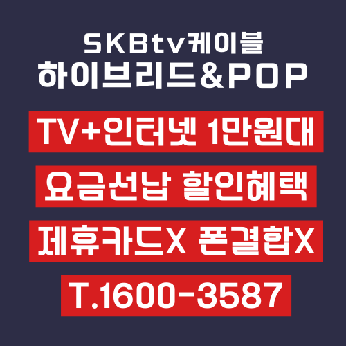 SK티비 BTVPOP인터넷결합 T브로드 알뜰요금 상세정보