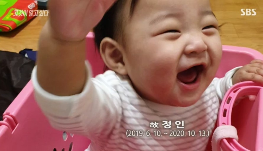  정인아 미안해, 양천구 입양아 학대 사망 사건