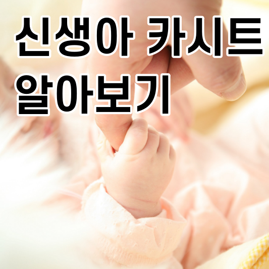  신생아 카시트 구매전 알아 보기