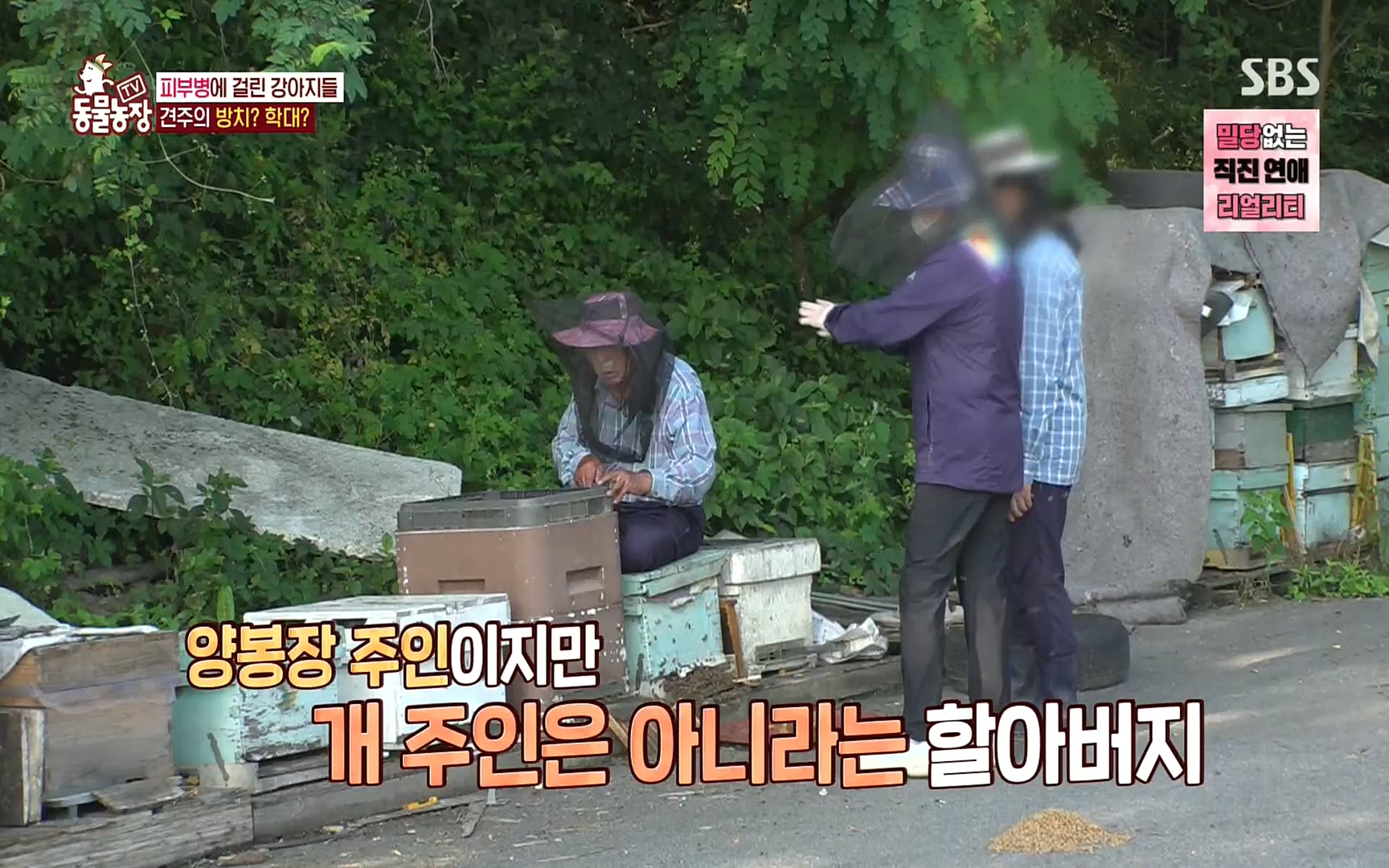 TV 동물농장.E1081.220807p.H264-F1RST.mp4_20220807_213639.558.jpg