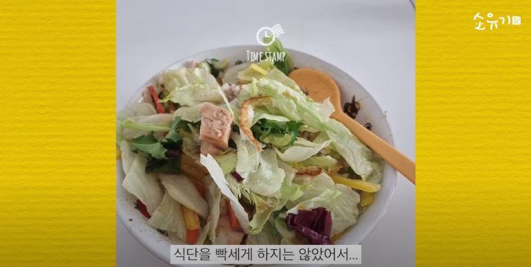 경도비만탈출 소유기에서 밝힌 소유 다이어트 33