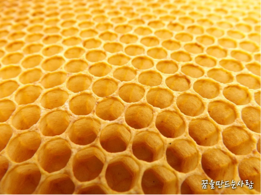  프로폴리스 효능 및 부작용