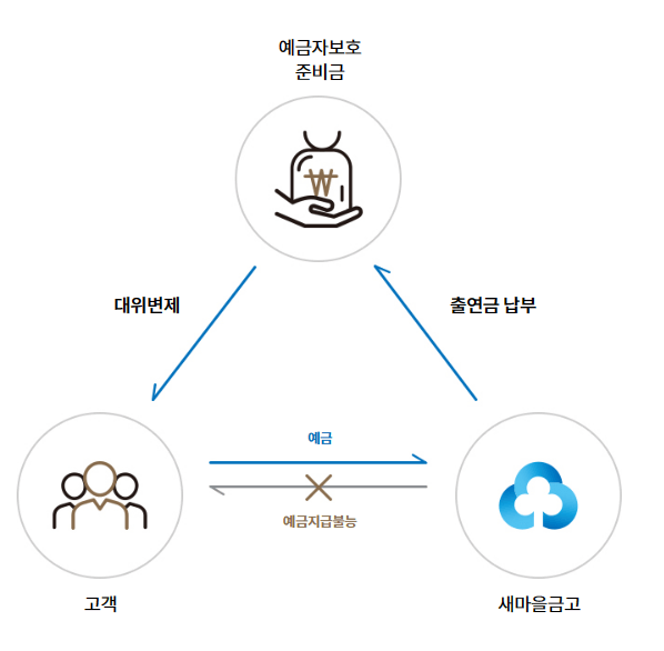 새마을 금고 예금자보호&amp;#44; 특별점검