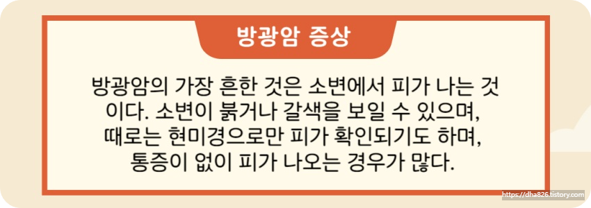 방광암 증상
