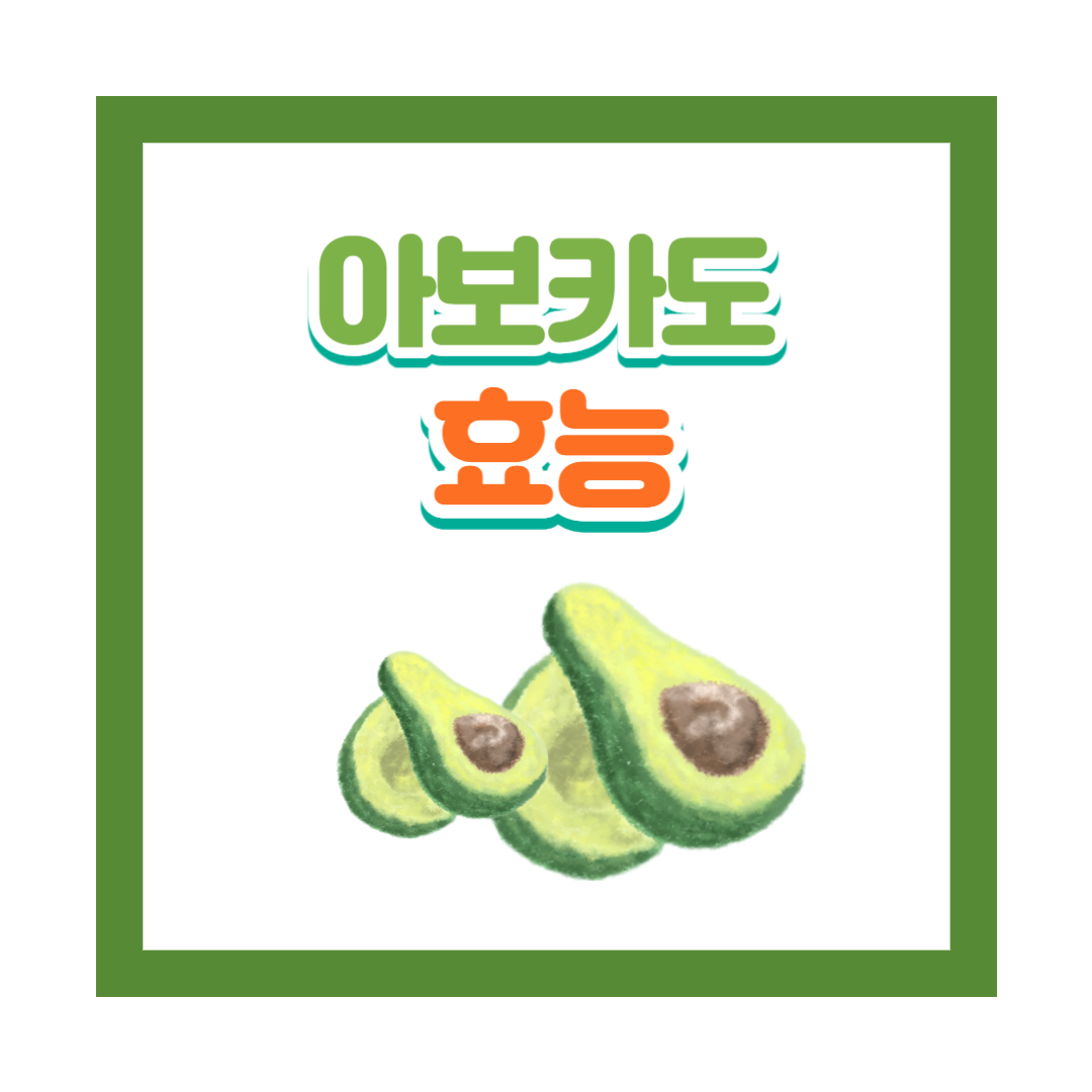  아보카도 효능 3가지를 누리세요: 영양, 다이어트 및 웰빙