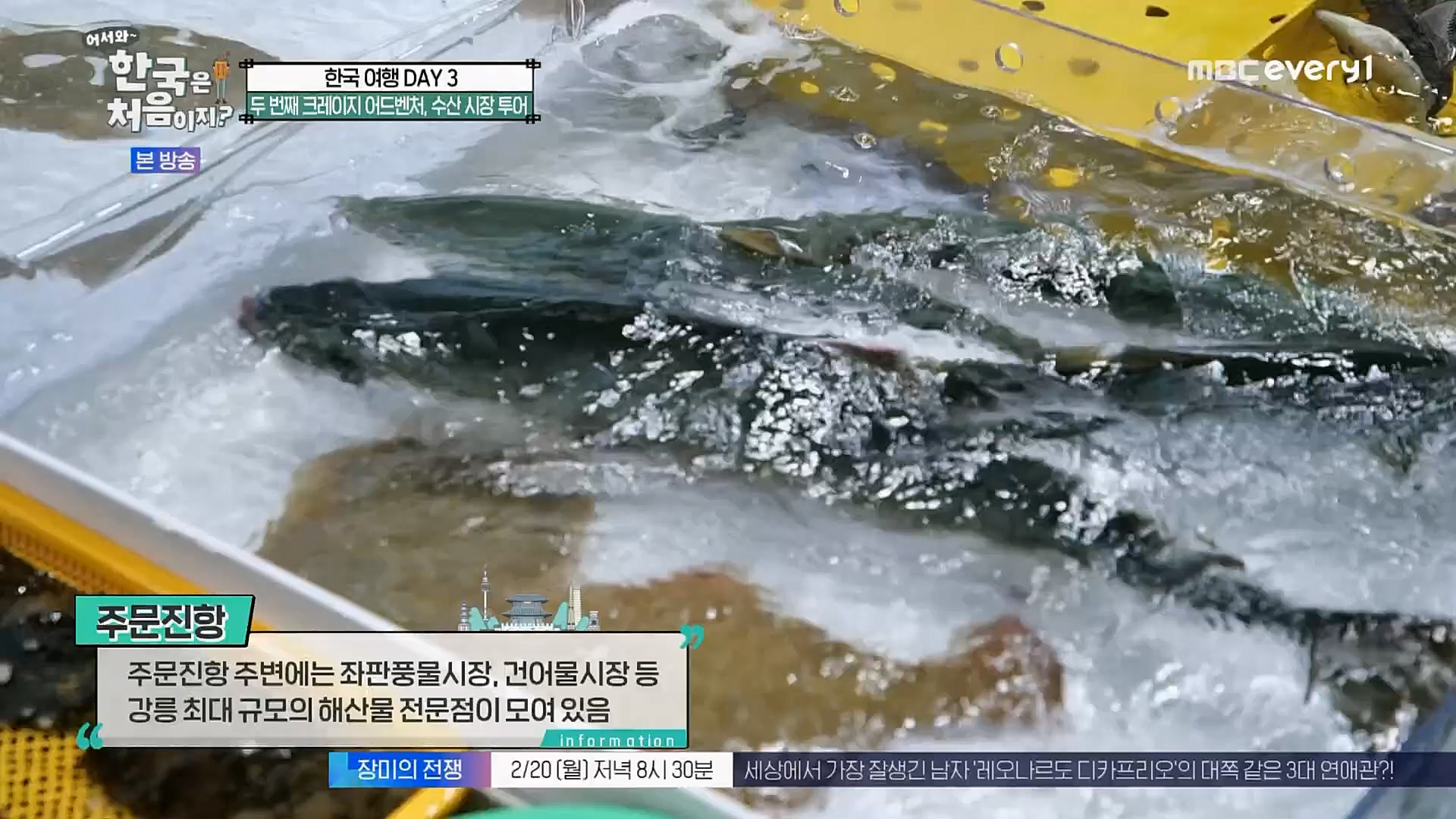 어서와~ 한국은 처음이지.E283.230216p.H264-F1RST.mp4_20230218_181053.678.jpg