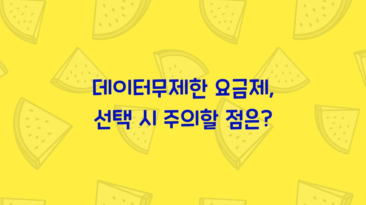 데이터무제한