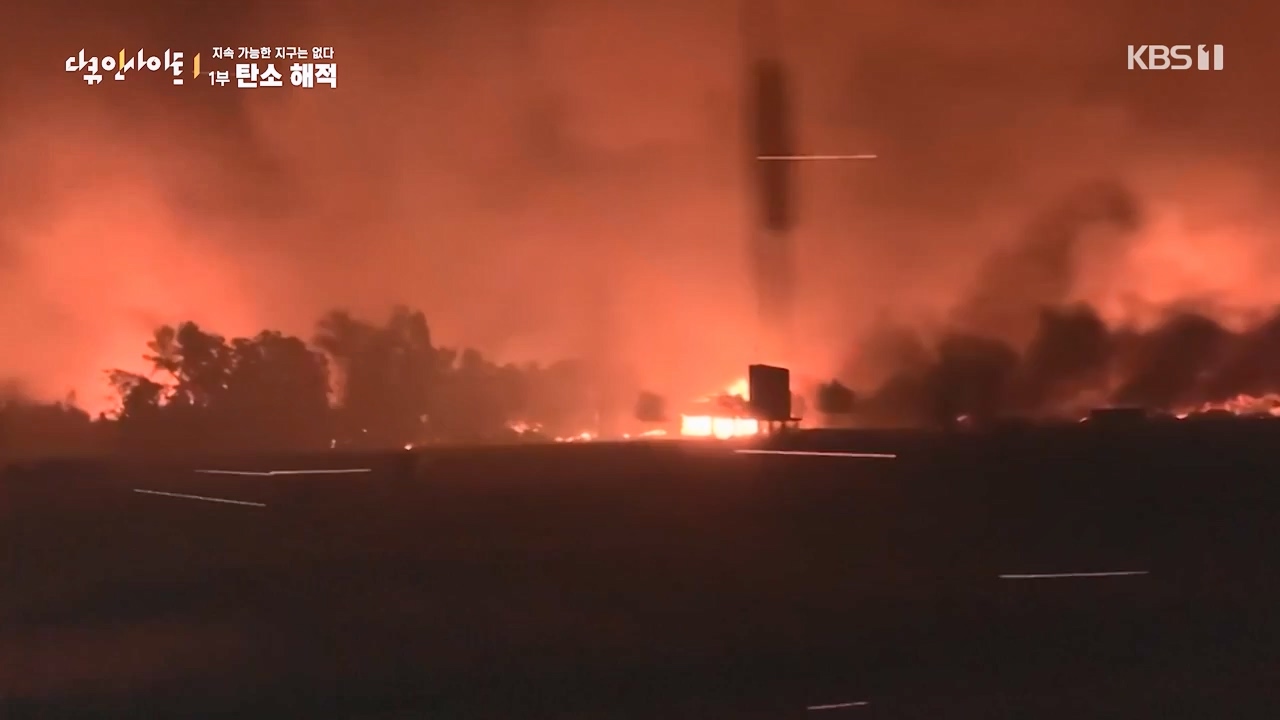 다큐 인사이트.E177.240112p-NEXT.mp4_20240113_155848.708.jpg