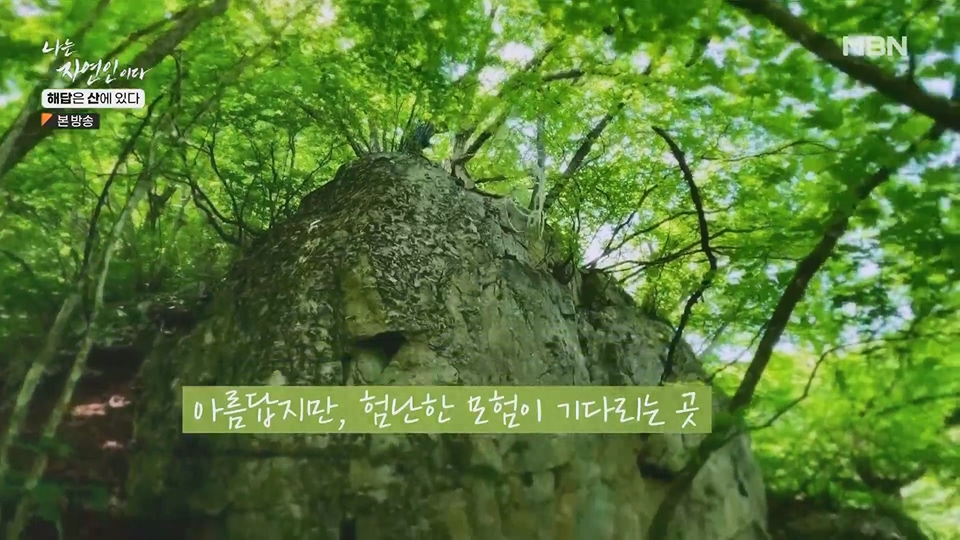 나는 자연인이다.E559.230621p.H264-F1RST.mp4_20230622_204014.079.jpg