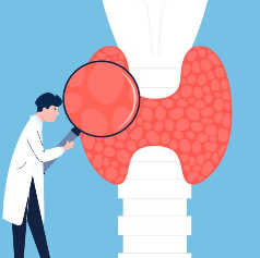 갑상성 기능 저하증 증상 및 좋은음식 