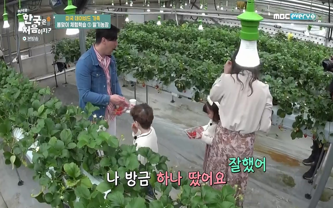 어서와 한국은 처음이지 시즌2.E206.220415p-NEXT.mp4_20220415_181246.218.jpg