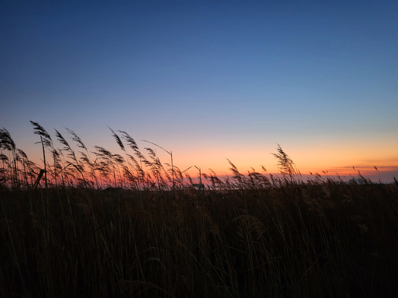 2022 부산 여행 2일차 10