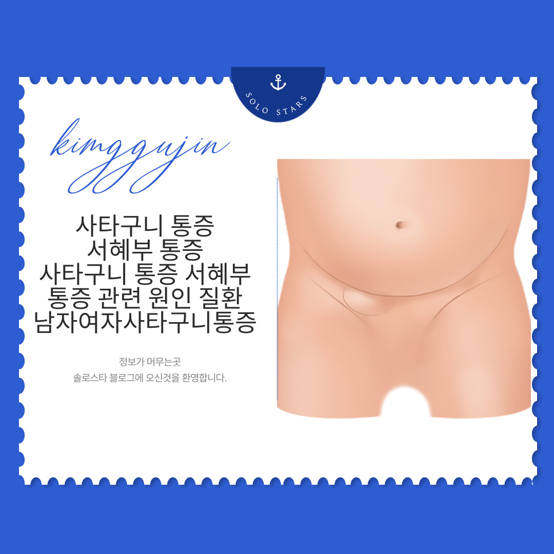 사타구니 위치 관련 사진