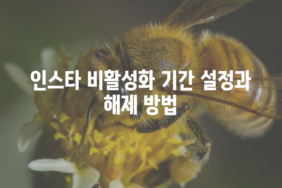 API 할당량 초과 오류 2