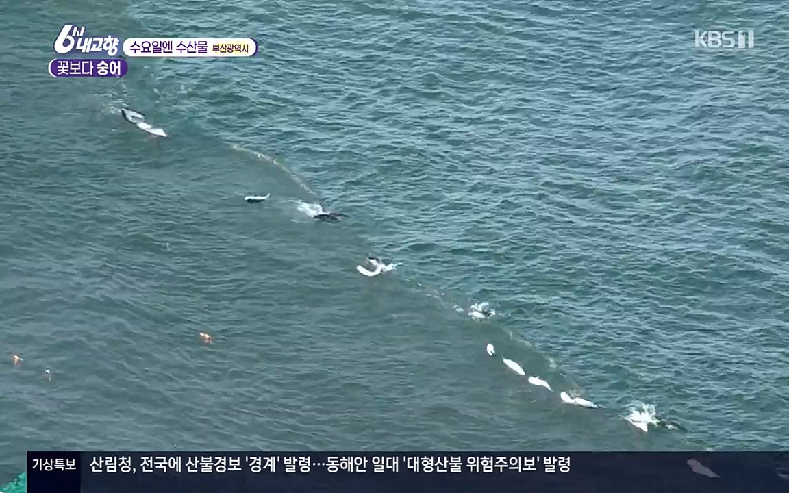 6시 내고향.E7523.220421p-NEXT.mp4_20220507_181117.312.jpg