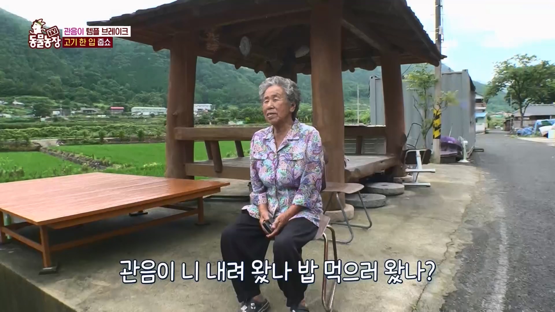 TV 동물농장.E1130.230723p.H264-F1RST.mp4_20230723_171158.794.jpg