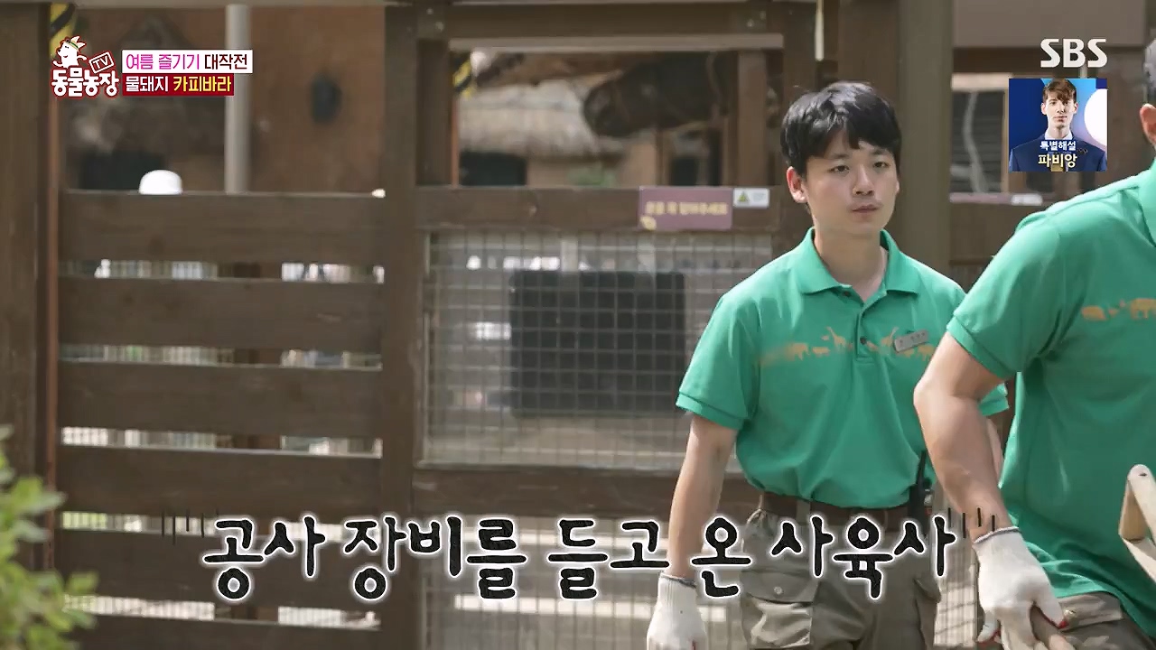 TV 동물농장.E1181.240722p-NEXT.mp4_20240721_165551.526.jpg