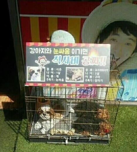  대놓고 사기 치는 식당 주인