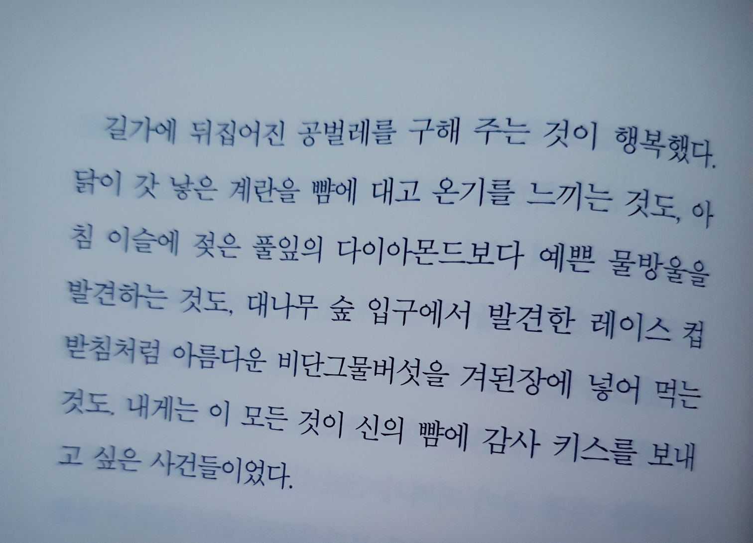  책