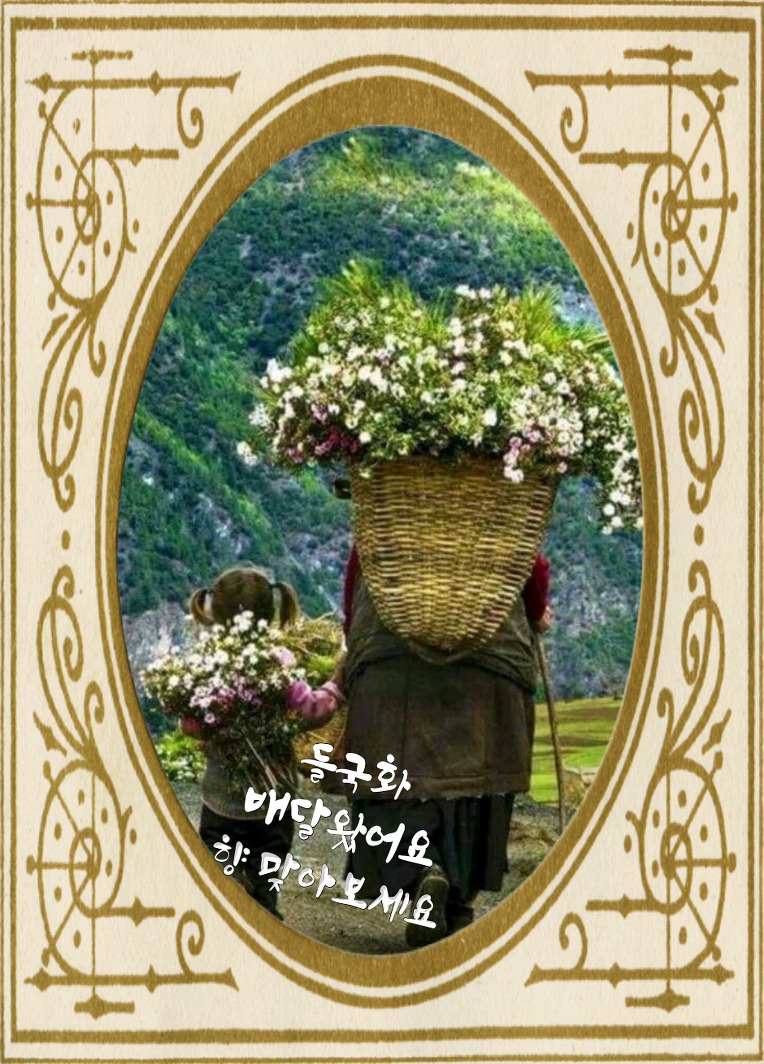 오울 이미지