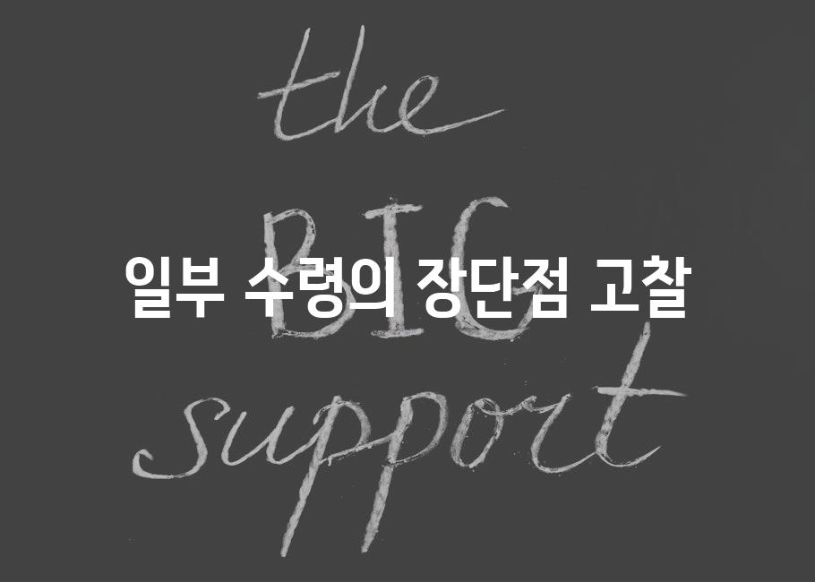 일부 수령의 장단점 고찰