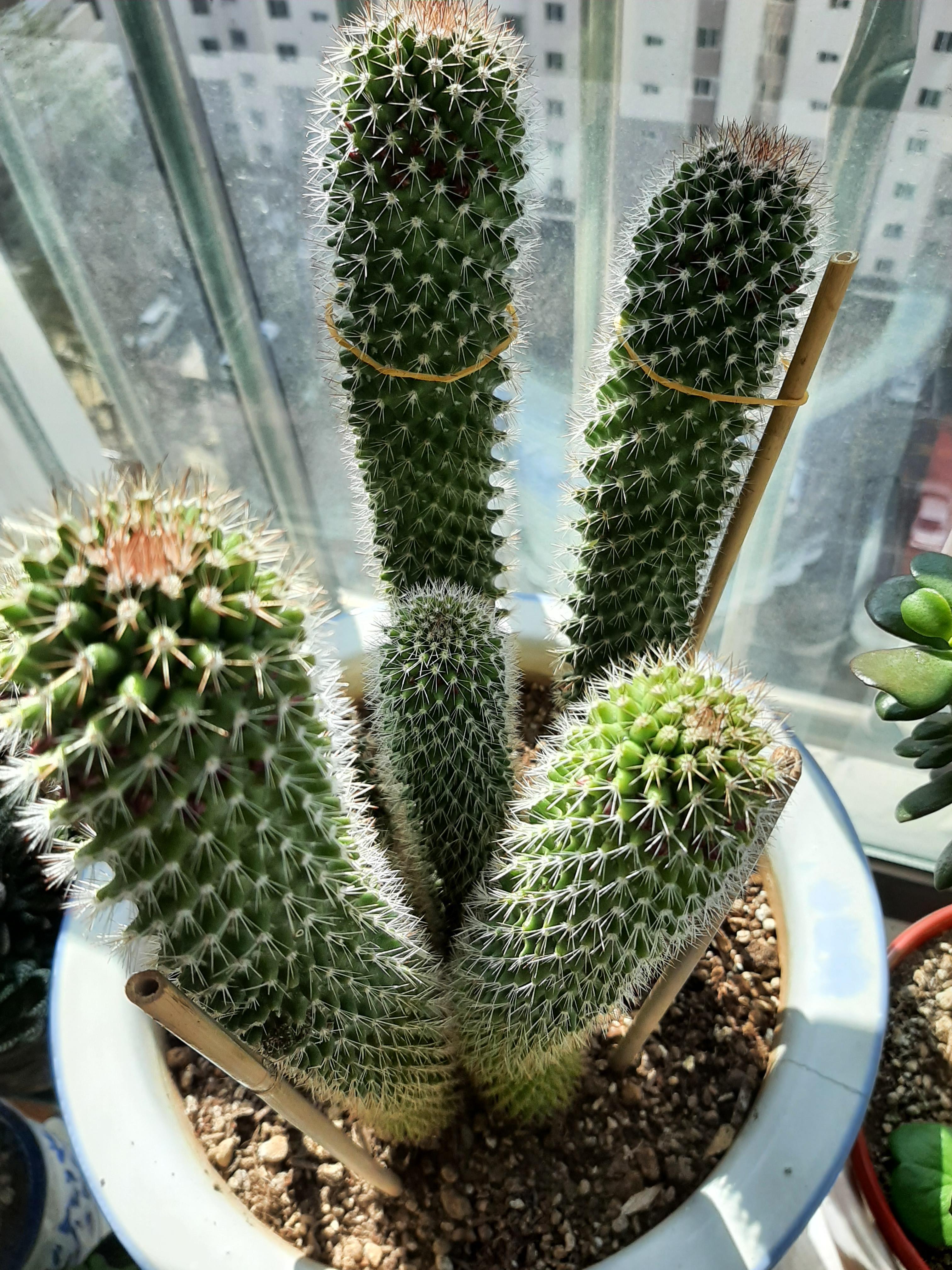 나이엔 졸업이 없고 즐거움엔 정년이 2