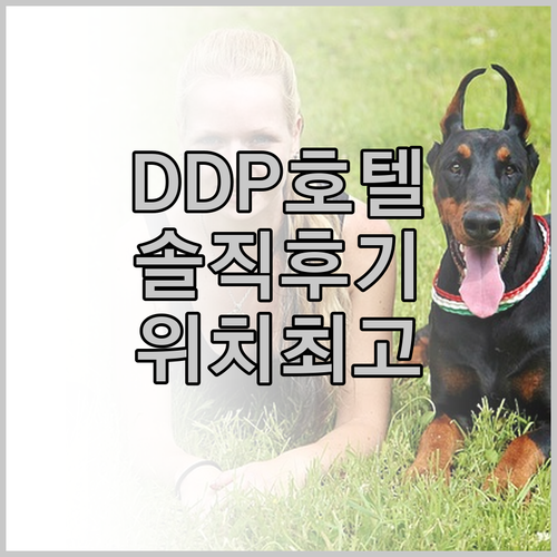 호텔 더 디자이너스 DDP.. 솔직 