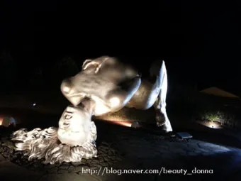 제주시볼거리 6월 제주도 여행 볼거리 제주시 볼거리 한라수목원 완벽 가이드_17