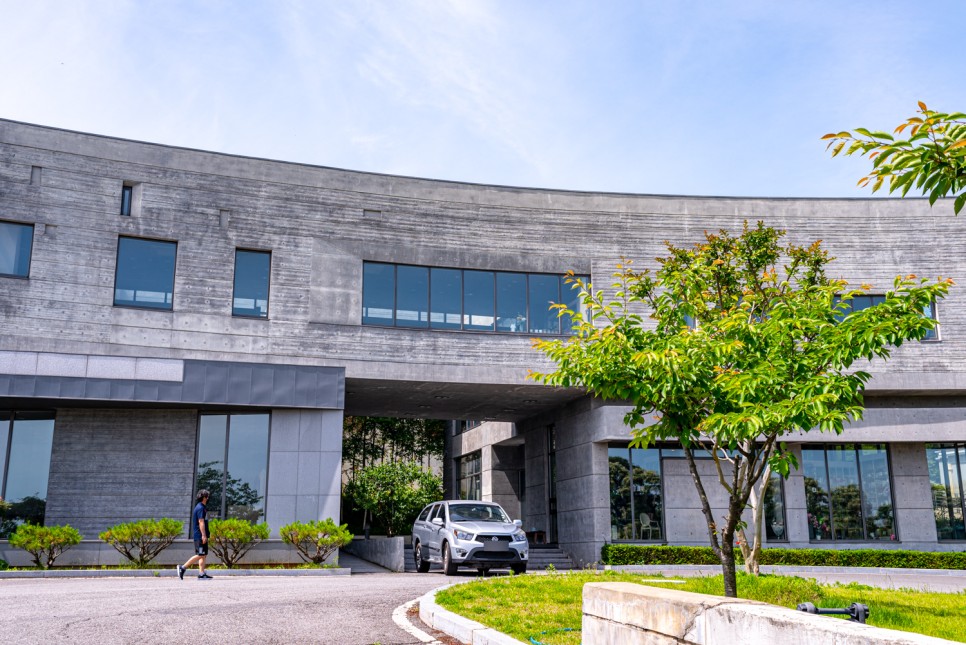 꽃사진 여름의 시골 9