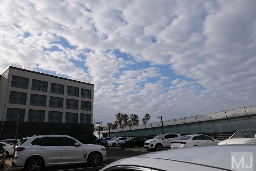 어린왕자 체험 in 감귤밭 카페 66