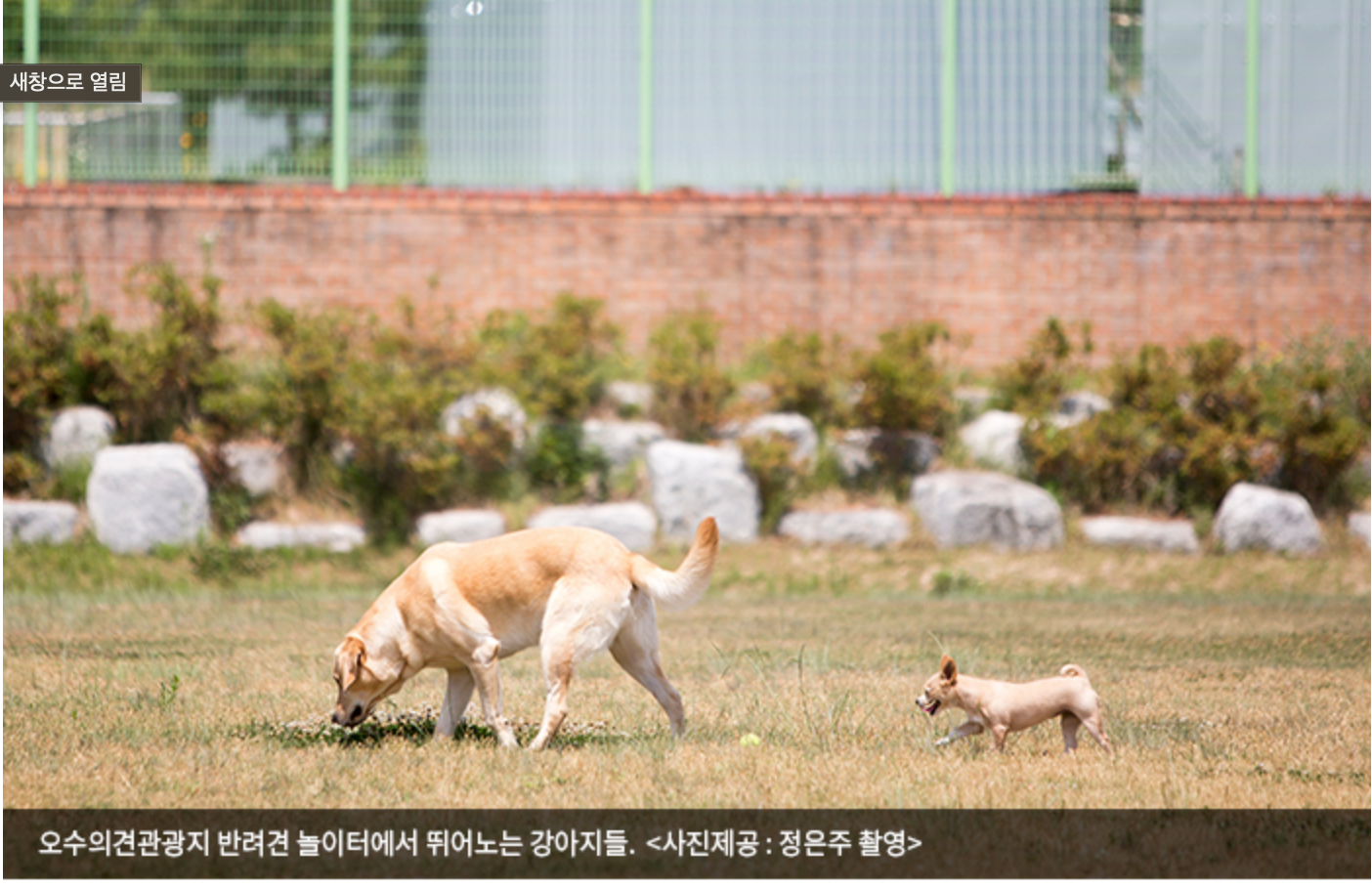 임실 오수의견광광지 사진