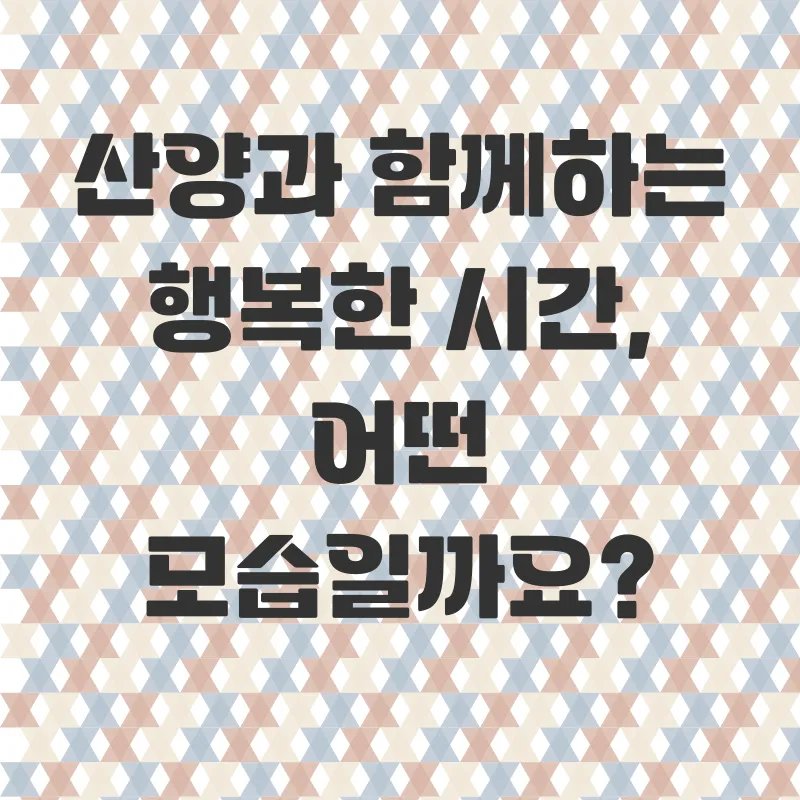 청양알프스산양목장체험_1