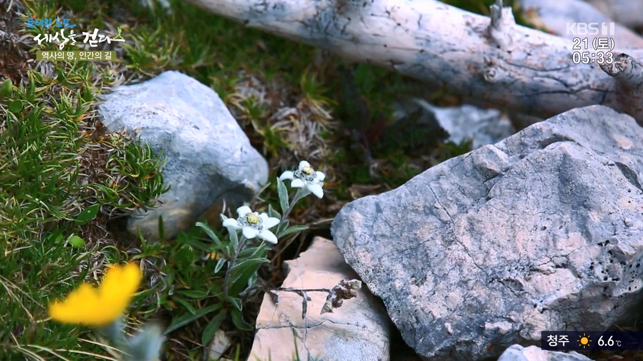 트레킹노트 세상을 걷다.E293.231022p-NEXT.mp4_20231029_165311.250.jpg