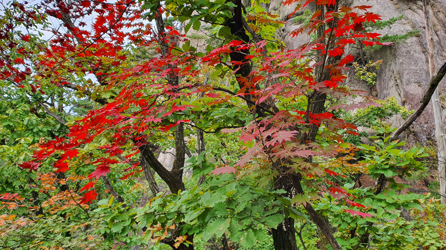 /초가을 풍경 도봉산 55