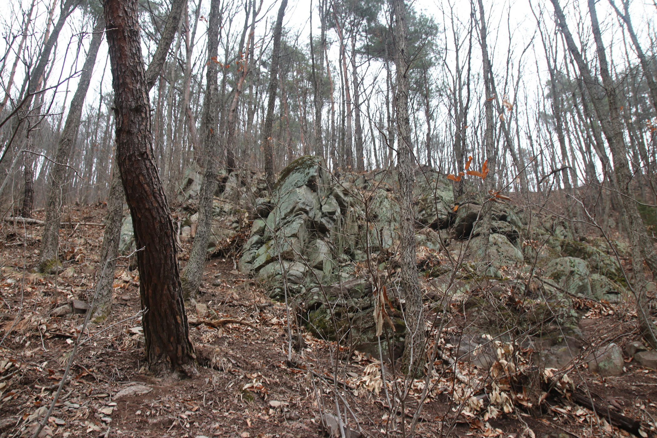 경남 의령군 국사봉 05 55