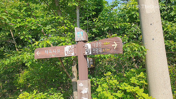 경주 토함산 자연휴양림 산책로