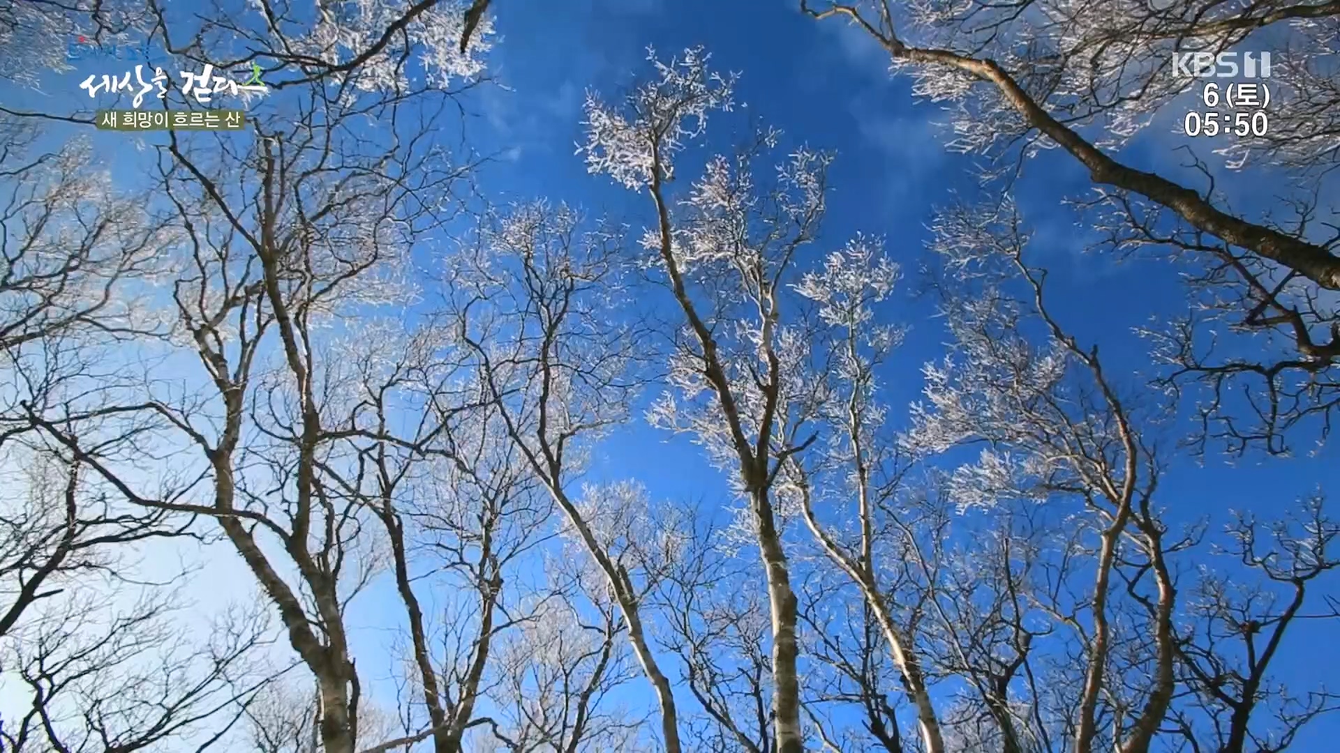 트레킹노트 세상을 걷다.E302.240106p.H264-F1RST.mp4_20240712_211027.371.jpg