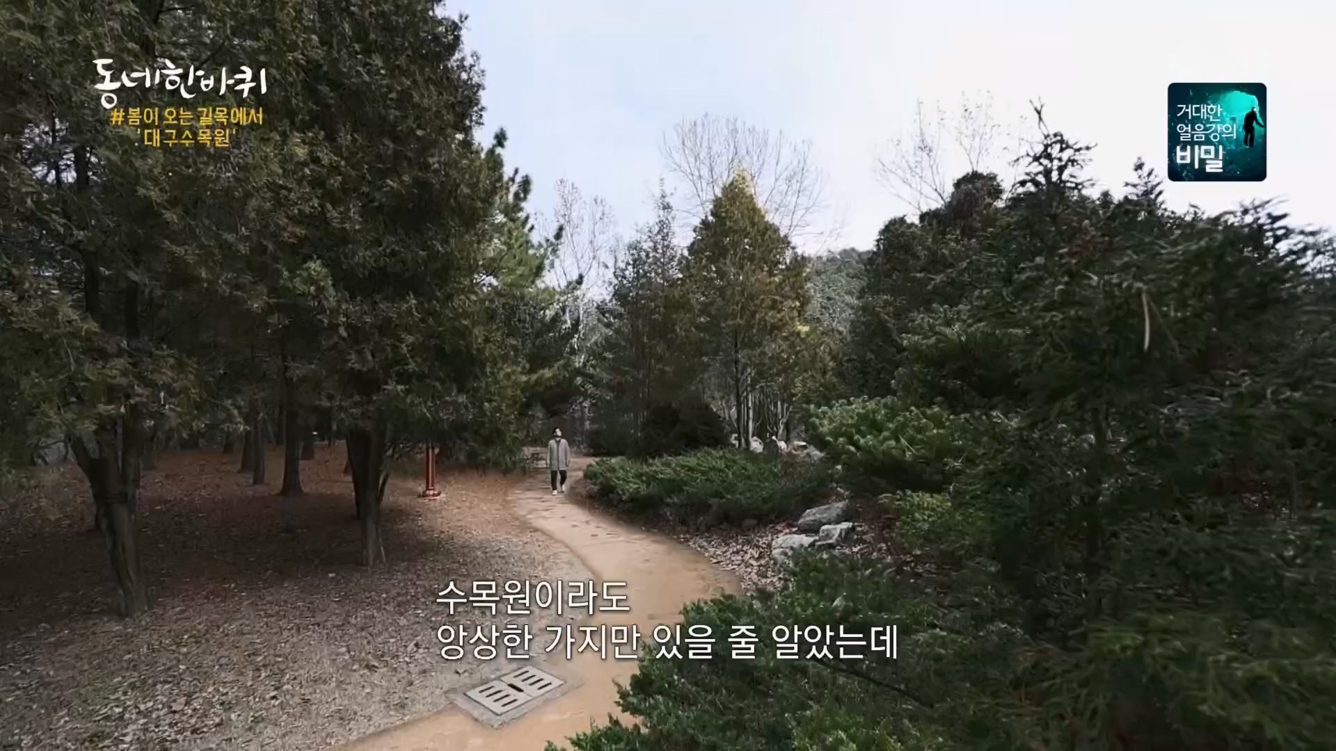 동네 한 바퀴.E261.240309p.H264-F1RST.mp4_20240310_165138.944.jpg
