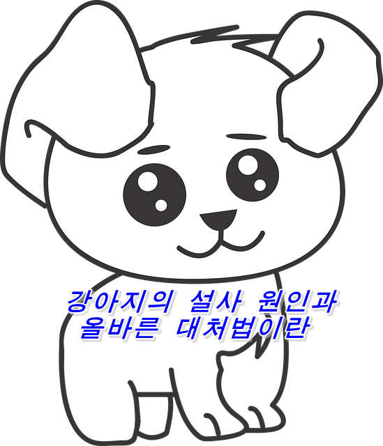  강아지의 설사 원인과 올바른 대처법이란