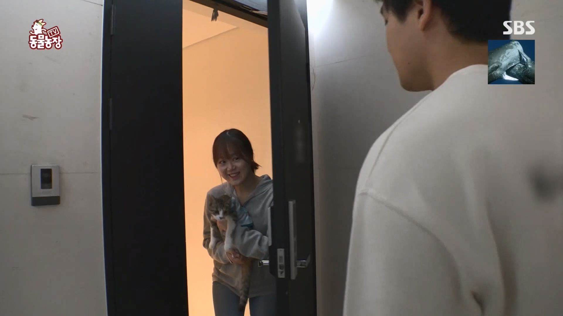 TV 동물농장.E1148.231203p.H264-F1RST.mp4_20231203_181434.148.jpg
