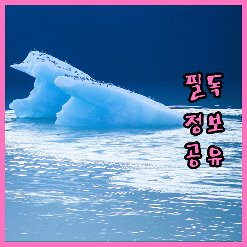 해외 직구? 국내 구매 대행? 해외 