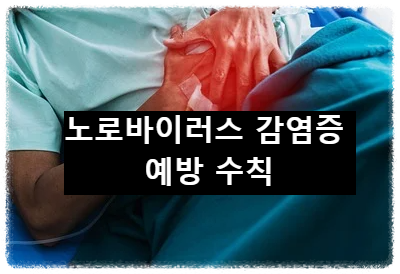  노로바이러스 감염 예방 수칙