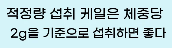  1) 적정량 섭취 케일은 체중당 2g을 기준으로 섭취하면 좋다.