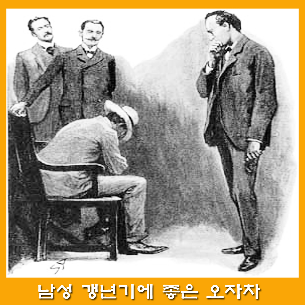  복분자.오미자.토사자.남성에게 좋은 오자의 효능